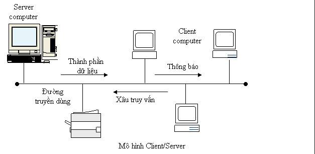 Mô hình mạng máy tính phổ biến hiện nay