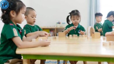 Môi trường học tập là gì? - Luật Hoàng Phi