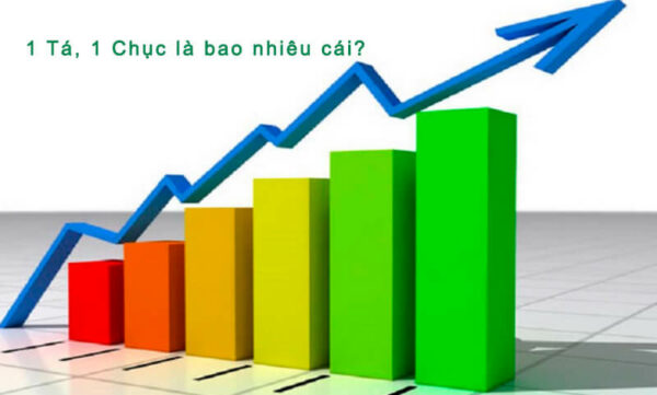 1 tá bằng bao nhiêu cái? Nên dùng tá khi nào? - Alnahda-ksa.org
