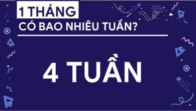 1 tháng có bao nhiêu ngày, tuần? Cách tính tháng theo bàn tay