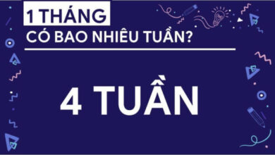 1 tháng có bao nhiêu tuần? Cách tính thời gian chính xác - thehwp.org