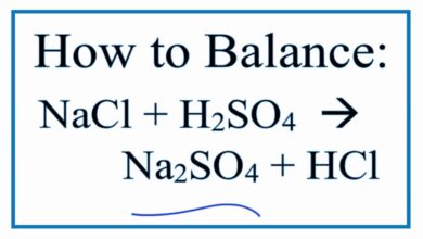13 Facts on H2SO4 + NaCl: What, How To Balance & FAQs