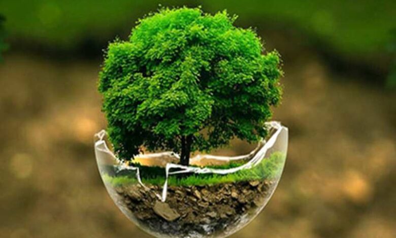 Tuổi Kỷ Hợi 2019 Mệnh Gì? Sinh 2019 Hợp Tuổi Nào, Màu Gì? - Mogi