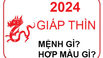 Năm 2024 là năm con gì & mệnh gì? Sinh con có tốt không - Invert.vn