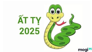 2025 Mệnh Gì? Sinh Con Năm 2025 Có Tốt Không? - Mogi