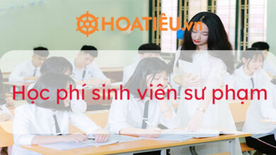 Học phí sinh viên sư phạm 2023 - Hoatieu.vn