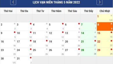 Ngày của Mẹ 2022 - Tôn vinh nguồn gốc và ý nghĩa