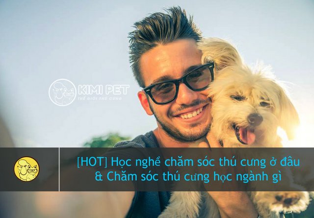 【Giải đáp】 Học nghề chăm sóc thú cưng ở đâu tốt nhất hiện nay?