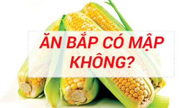 Ăn bắp có giảm cân không? Ăn ngô đúng cách? - Toshiko