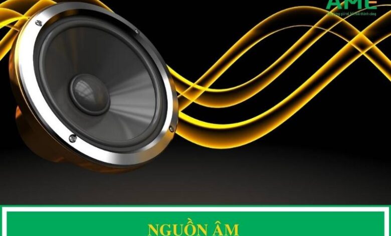 Nguồn âm là gì? Cách nhận biết và đặc điểm của nó - AME Group