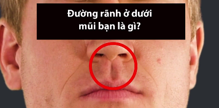 Nhân trung nghĩa là gì, người không có nhân trung là người thế nào ?