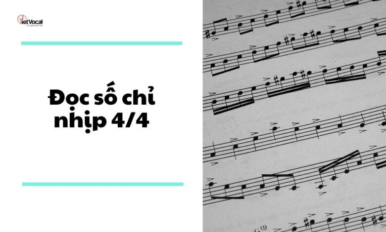 Nhịp 4/4 là gì? Cách đọc nhịp 4/4 - Blog VietVocal