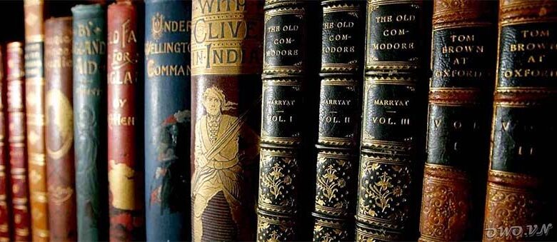 Truyện Novel là gì ? Cùng tìm hiểu về truyện novel - Owo.vn