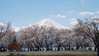 Núi Phú Sĩ Cao Bao Nhiêu mét? Nguồn Gốc hình thành ra sao