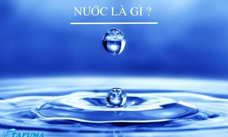 Nước là gì? Tính chất và vai trò của nước [BẠN NÊN BIẾT]