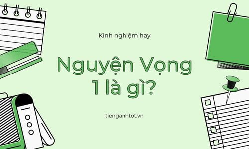 Nguyện Vọng 1 Là Gì ? Tại Sao Mọi Người lại muốn đỗ NV1 ?