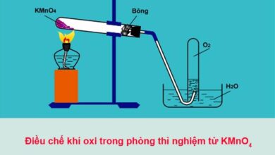 Khí Oxy O2 là gì? Ứng dụng của khí oxy, cách điều chế Oxy