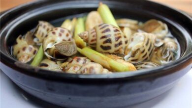 Ốc Hương Sống - Ốc hương giá bao nhiêu 1kg ở Hà Nội - Hải sản 24h