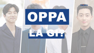 Oppa là gì? Những điều nên và không nên khi dùng "Oppa" - ThienTu