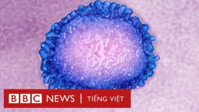Pandemic and Epidemic - Đại học Phan Châu Trinh