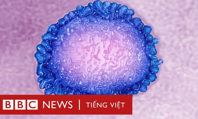 Pandemic and Epidemic - Đại học Phan Châu Trinh