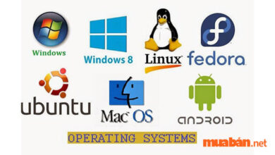 Phần mềm hệ thống là gì? Phần mềm hệ thống có những vai trò gì?
