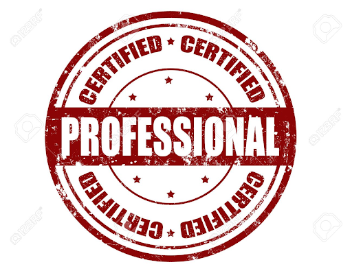 Professional nghĩa là gì: Định Nghĩa, Ví Dụ trong Tiếng Anh