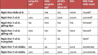Tìm hiểu pronoun là gì? Những điều cần biết về đại từ trong Anh ngữ