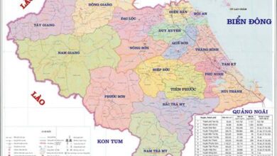 Giải mã Quảng Nam có bao nhiêu huyện, thành phố? - Eqn.com