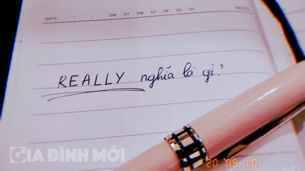 Really nghĩa là gì? 7 cách dùng của từ really trong tiếng Anh
