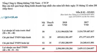 ROE là gì? Cách tính và ứng dụng (HIỆU QUẢ NHẤT) - GoValue