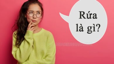 Rứa là gì? Mô chi răng rứa là gì? - Muasieunhanh.com