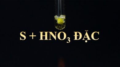S + HNO3 → H2SO4 + NO2 + H2O | S ra NO2 - vietjack.me