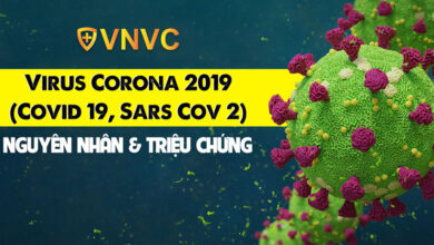Virus Corona 2019 (Covid 19, Sars Cov 2) - VNVC