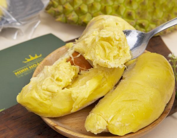 Giá sầu riêng bao nhiêu 1kg và ưu điểm của từng loại