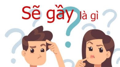 [Siêu Tổng Hợp] Sẽ Gầy Là Gì? Ý Nghĩa & Cách Sử Dụng Trend Sẽ
