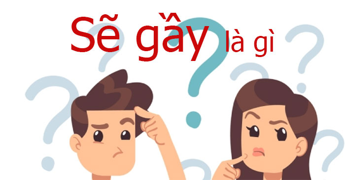 [Siêu Tổng Hợp] Sẽ Gầy Là Gì? Ý Nghĩa & Cách Sử Dụng Trend Sẽ