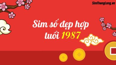 Sim Hợp Tuổi 1987