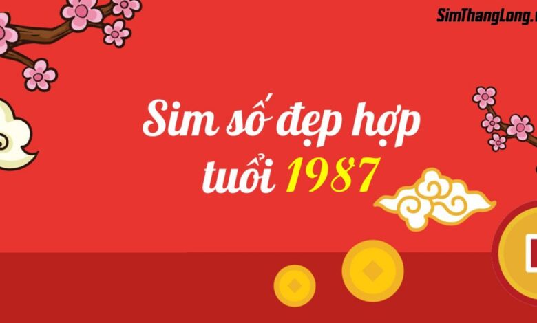 Sim Hợp Tuổi 1987