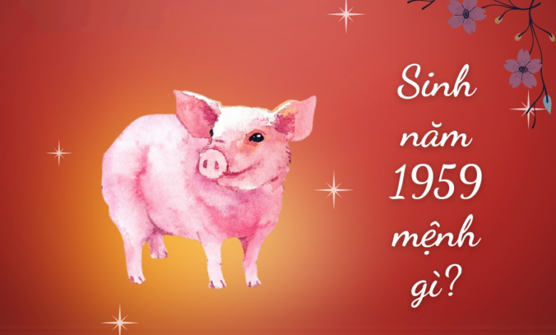 Sinh năm 1959 Mệnh gì? Tuổi Kỷ Hợi Hợp tuổi nào & Màu gì?