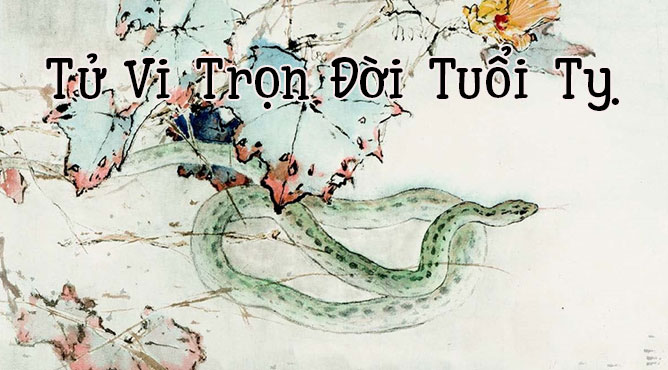 Sinh năm 1965 năm nay bao nhiêu tuổi - Thiên Tuệ