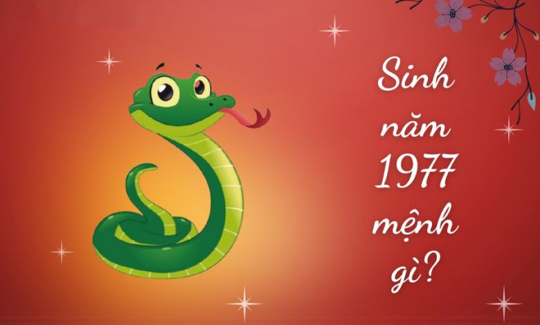 Sinh năm 1977 Mệnh gì? Tuổi Đinh Tỵ hợp Tuổi nào & Màu gì?