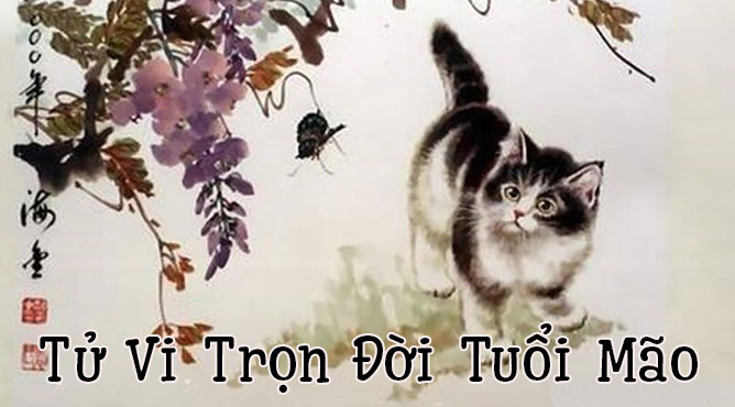 Sinh năm 1987 năm nay bao nhiêu tuổi - Thiên Tuệ