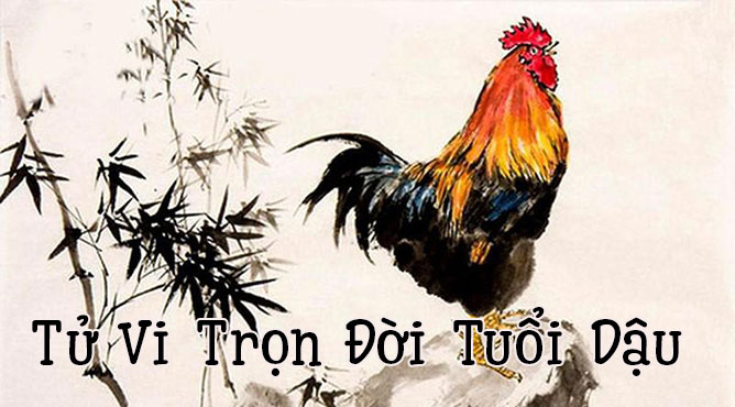 Sinh năm 1993 năm nay bao nhiêu tuổi - Thiên Tuệ