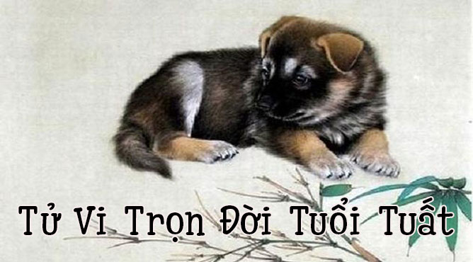 Sinh năm 2006 năm 2022 bao nhiêu tuổi? - Thiên Tuệ