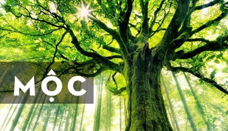 Sinh năm 1988 mệnh gì? Hợp tuổi gì? Hợp hướng nào?