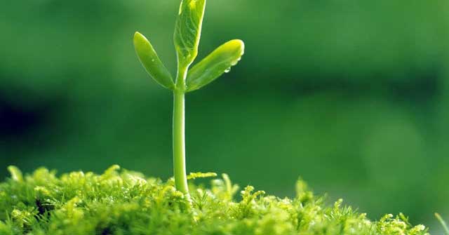 TOP 11 bài Nghị luận Ôi sống đẹp là thế nào hỡi bạn siêu hay