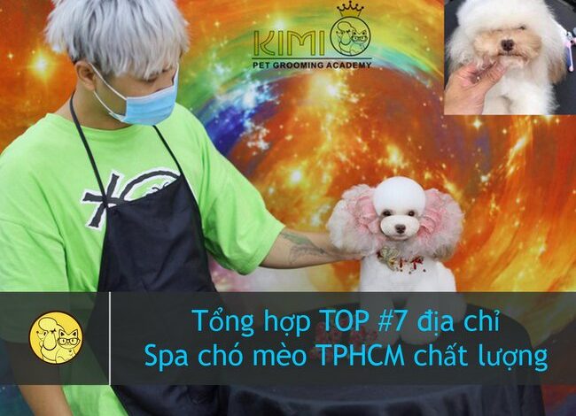 Tổng hợp #12 địa chỉ Spa chó mèo TPHCM chất lượng hàng đầu