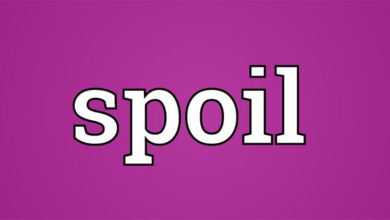 "Spoiler" nghĩa là gì: Định Nghĩa, Ví Dụ trong Tiếng Anh