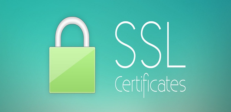 SSL là gì? Tại sao cần sử dụng SSL? - Điện máy XANH